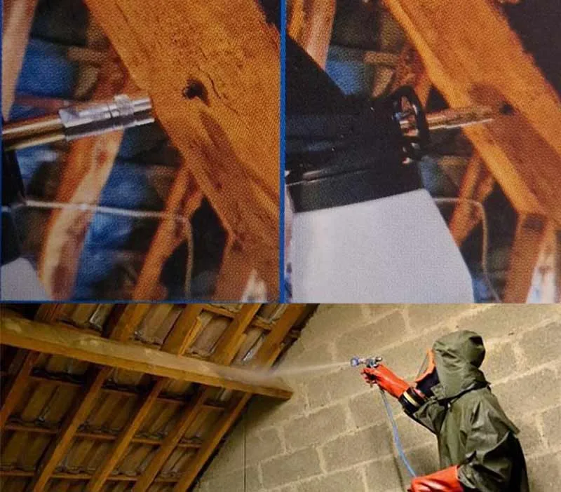 Protection charpente fongicide