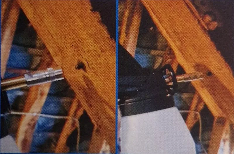 Charpente traitée Seine-Maritime