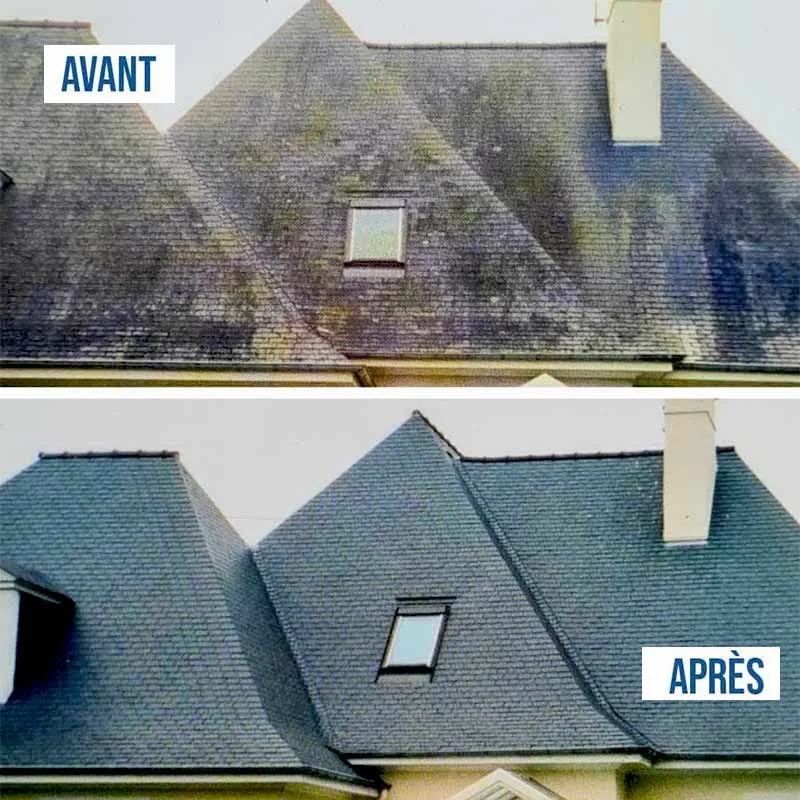 Nettoyage et traitement toiture